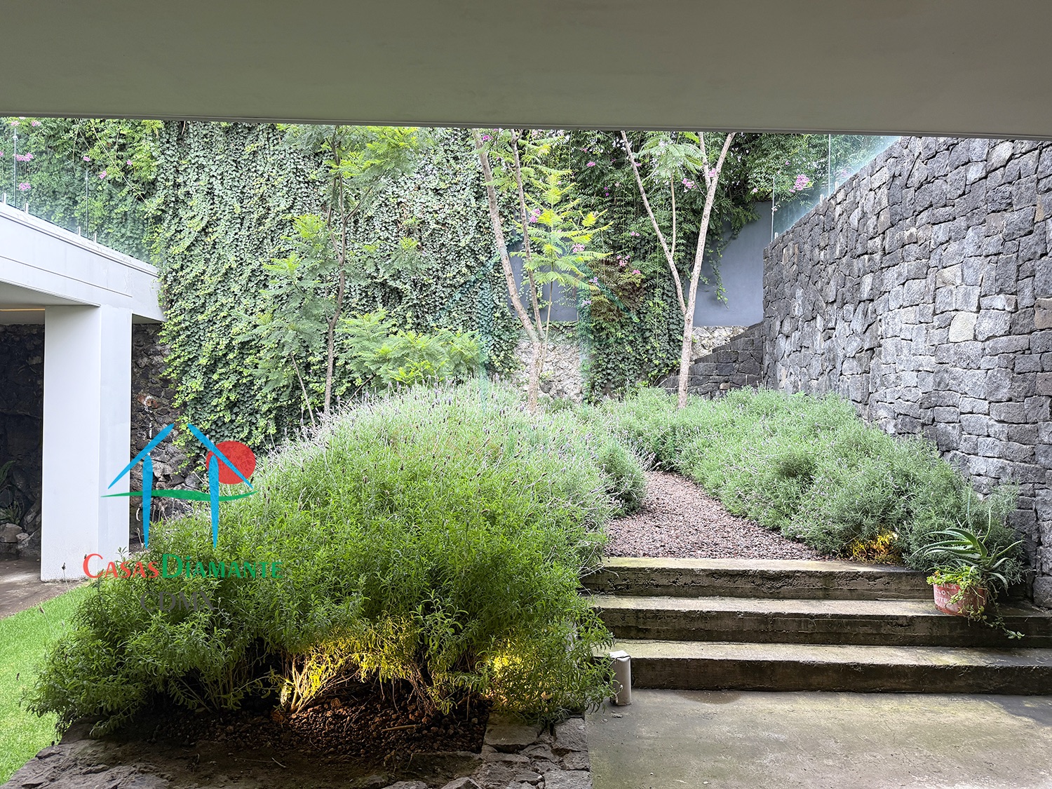 Jardines del Pedregal Casa Ópera GBC - Área de usos múltiples 9